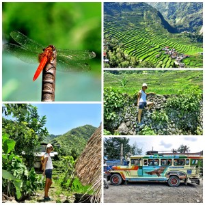 Batad Banaue 4
