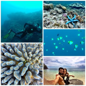 Apo island 3