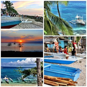 Apo island 5